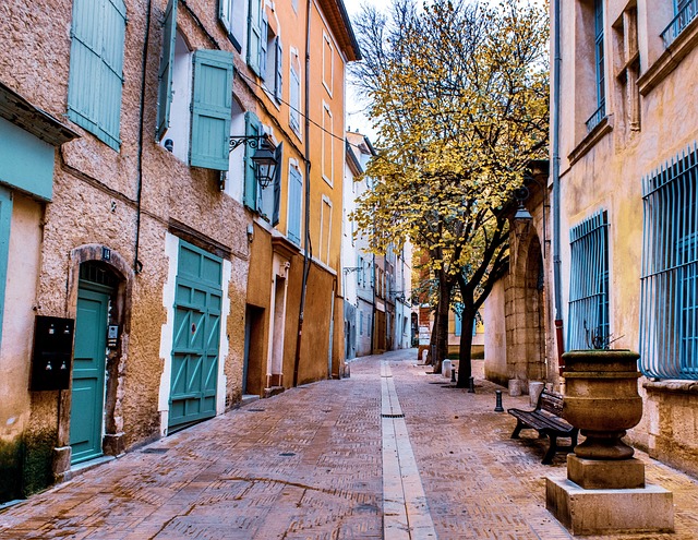 musquee de provence